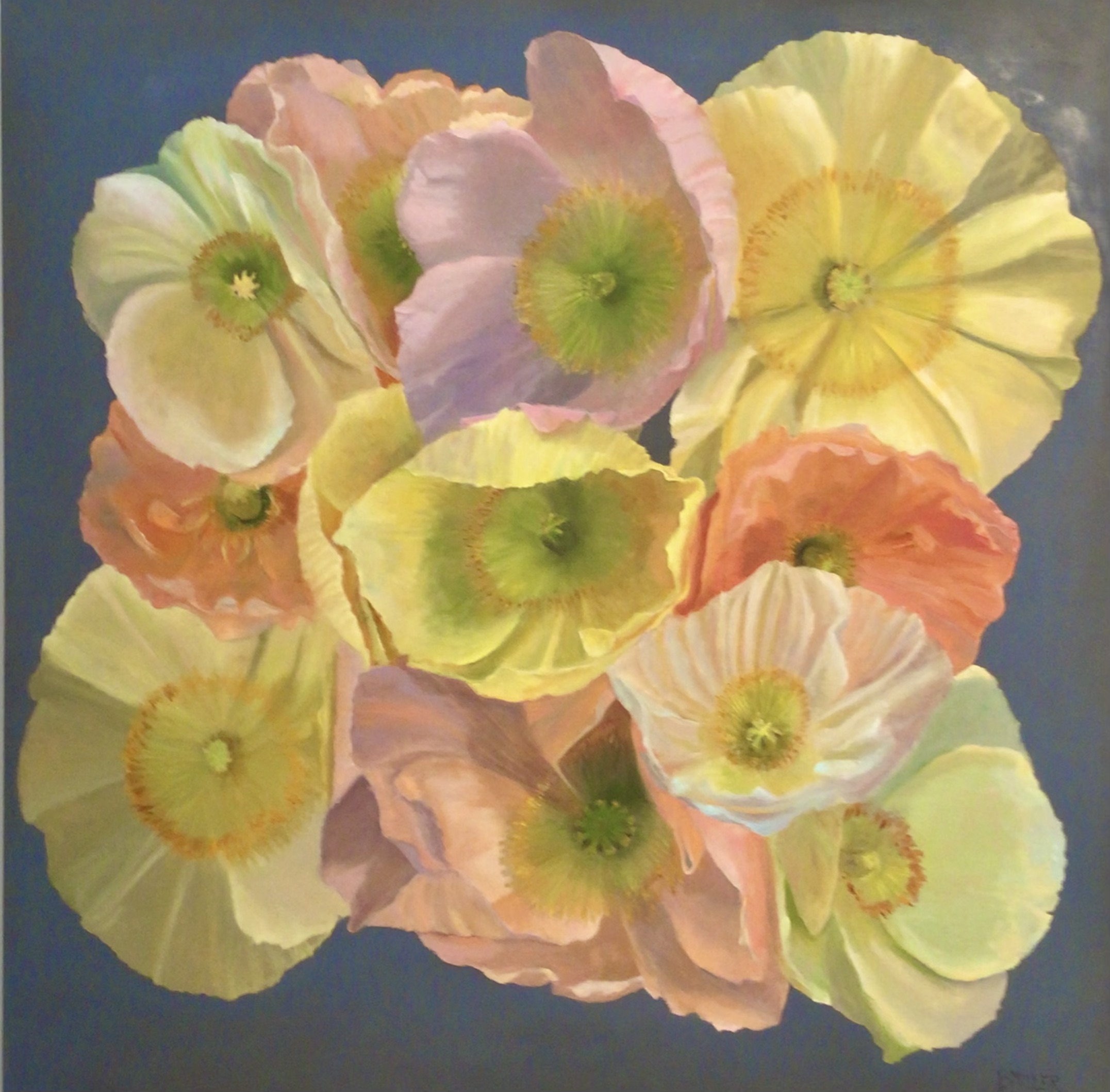 Barbara Miller, May Day Poppies, oil on cradled canvas,at Jo Fleming Contemporary Art